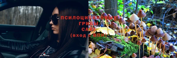 скорость Арсеньев
