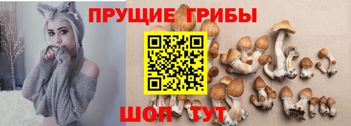 Еманжелинск  Галлюциногенные грибы мицелий  Вход с VPN  магазин продажи   Псилоцибиновые грибы Psilocybine cubensis 